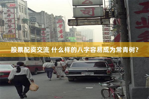 股票配资交流 什么样的八字容易成为常青树？