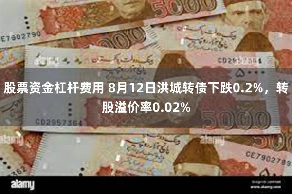 股票资金杠杆费用 8月12日洪城转债下跌0.2%，转股溢价率0.02%