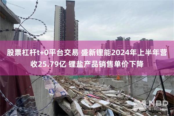 股票杠杆t+0平台交易 盛新锂能2024年上半年营收25.79亿 锂盐产品销售单价下降