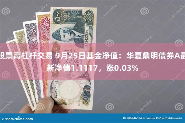 股票高杠杆交易 9月25日基金净值：华夏鼎明债券A最新净值1.1117，涨0.03%