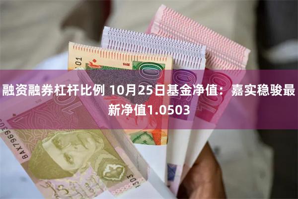 融资融券杠杆比例 10月25日基金净值：嘉实稳骏最新净值1.0503