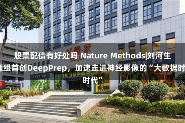 股票配债有好处吗 Nature Methods|刘河生课题组首创DeepPrep，加速走进神经影像的“大数据时代”