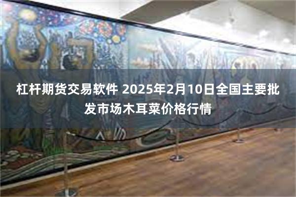 杠杆期货交易软件 2025年2月10日全国主要批发市场木耳菜价格行情